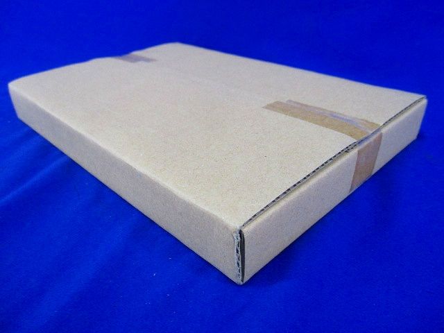 誘導灯用表示板C級(表示板のみ)Panasonic FK10066