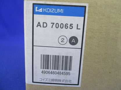 LEDダウンライト 電球色 調光不可 AD70065L