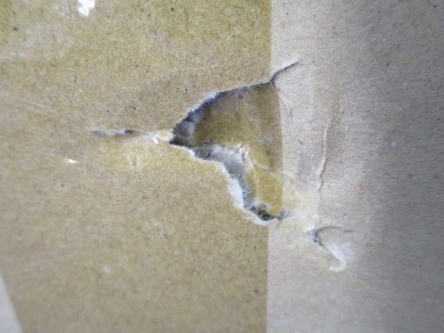 ＬＥＤ器具防水ブラケット高光束 昼白色 LEDB-20950N-LS9