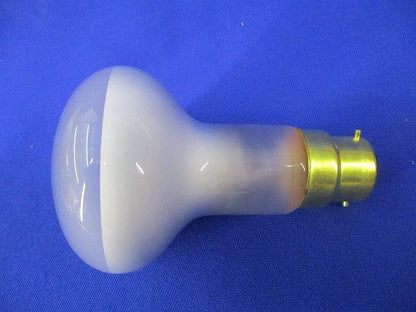 レフランプ 耐震用電球(艶消)(25個入) 220V-60W B-22