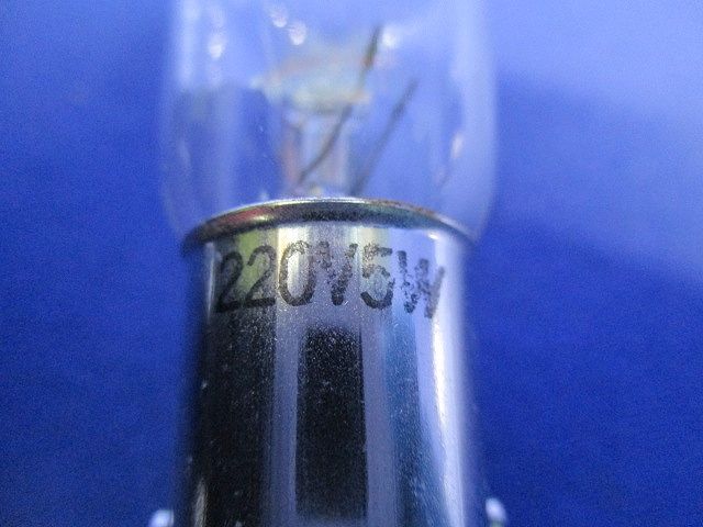 ナツメ電球220V5W(50個入) 220V5W