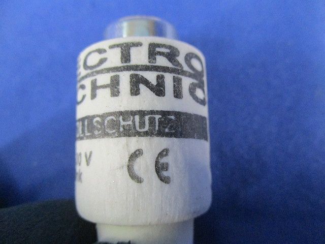 ヒューズ(30個入) 25A500V