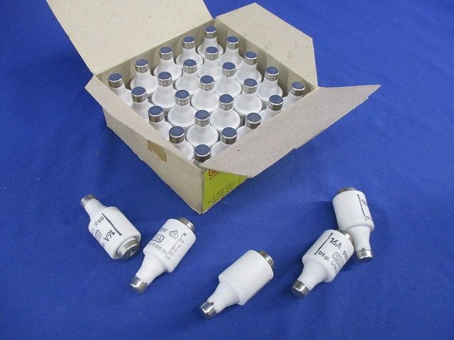 ヒューズ(30個入) 16A500V