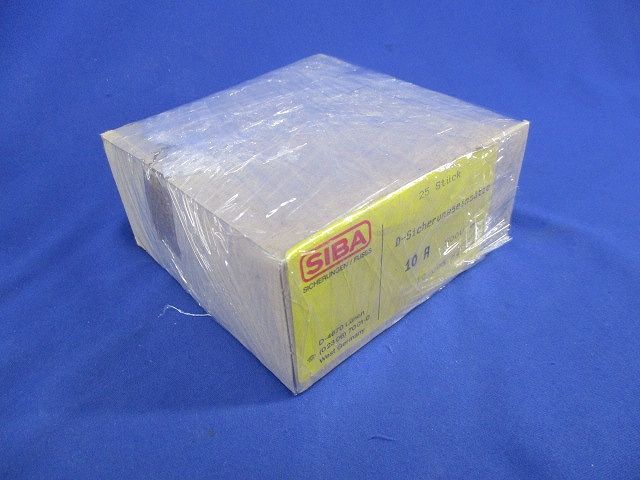 ヒューズ(25個入) 10A500V