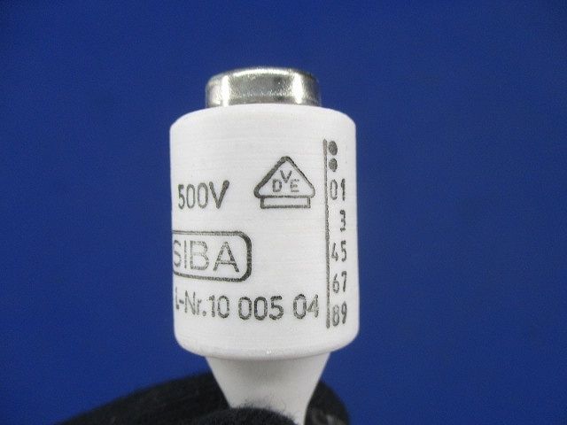 ヒューズ(19個入) 10A500V