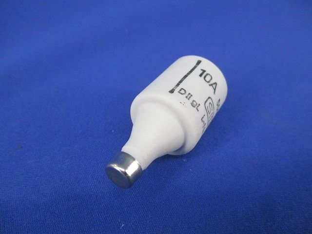 ヒューズ(19個入) 10A500V