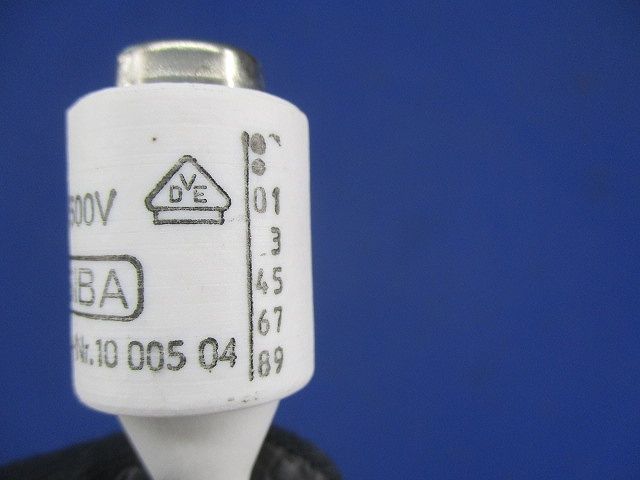 ヒューズ(10個入) 10A500V