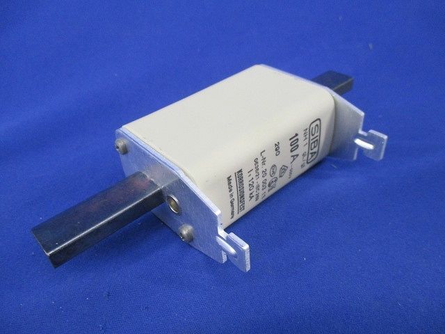 ヒューズ(3個入) 100A500V