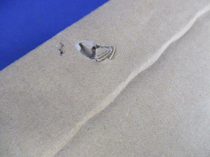 非常用照明器具本体 天井埋込型 自己点検スイッチ付・リモコン自己点検機能付 本体のみ NNLG41822