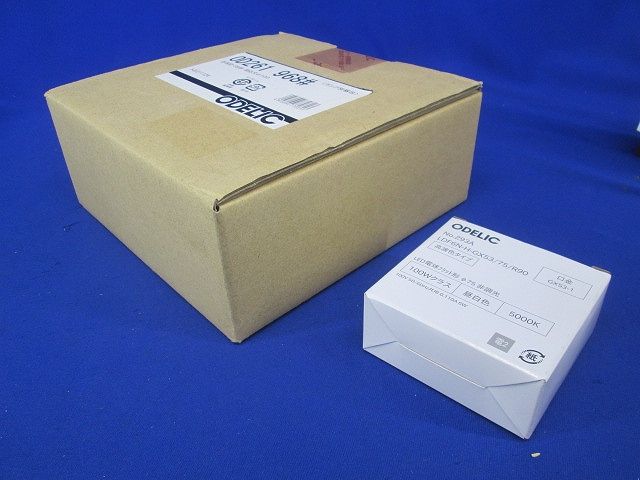 エクステリア LEDダウンライト 非調光 φ100 ランプ付 昼白色 OD261968NR