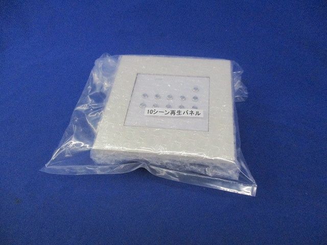 シーンコントローラー(ホワイト) SC2013