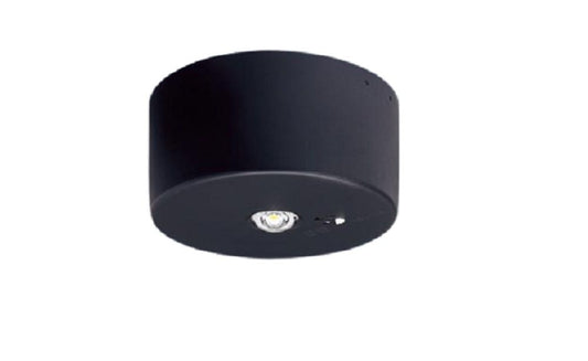 天井直付型 非常用照明器具 LED(昼白色) リモコン別売り NNFB91045