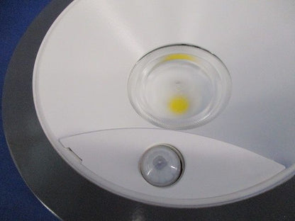 ダウンライトφ150(枠部・指定色塗装品) NNSH20620W