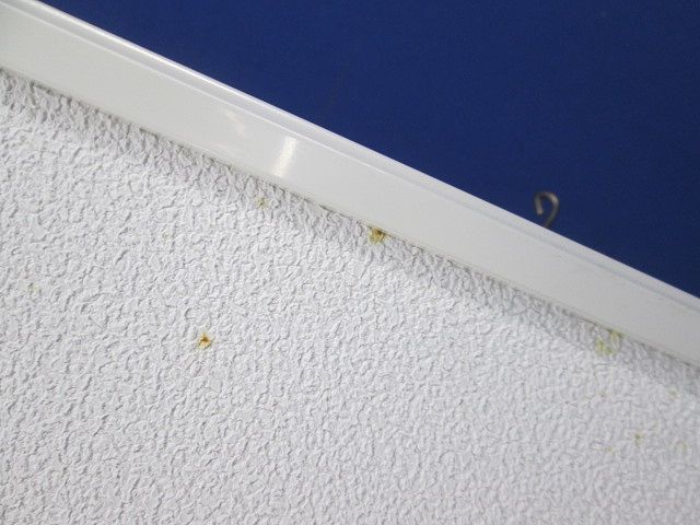 天埋形換気扇用ルーバ FY-38L21