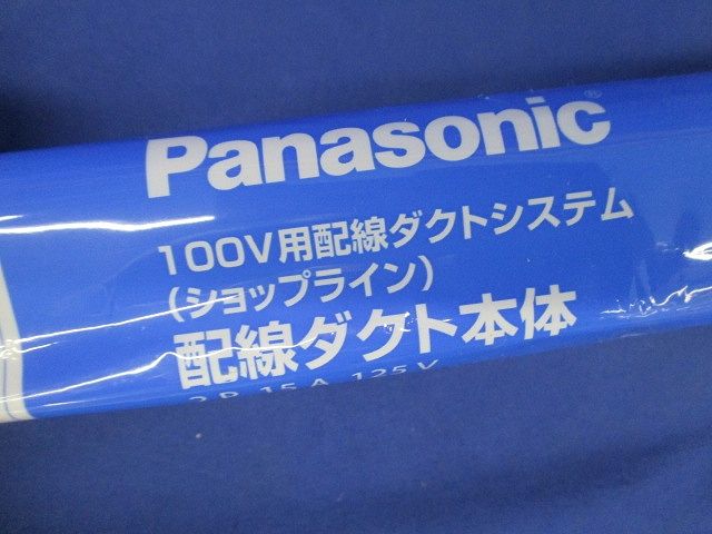 ライティングレール(切断品 約1.5m×2本入)(シルバー) DH0203