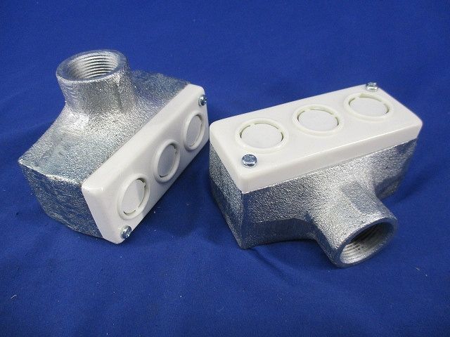 ターミナルキャップ(2個入) DF2025P