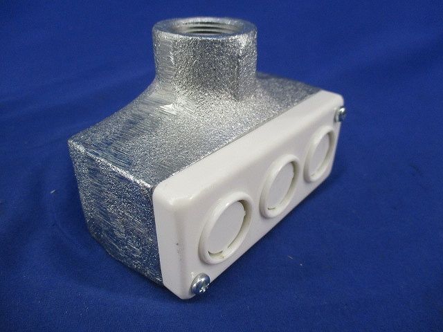 ターミナルキャップ(2個入) DF2025P