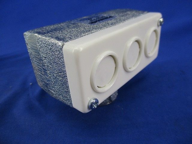 ターミナルキャップ(2個入) DF2025P