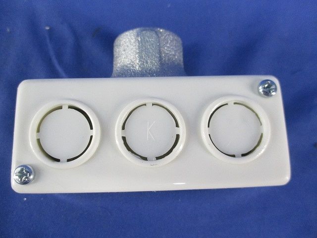 ターミナルキャップ(2個入) DF2025P
