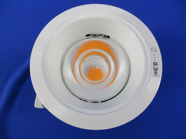 LEDダウンライトφ75(器具本体) NDN28004W