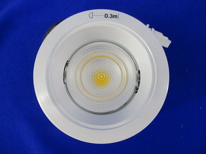 LEDダウンライトφ75(電源ユニット別売) NDN27006W