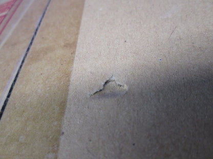 LEDダウンライトワンコアタイプ40形非調光(プレーン・一般光色)拡散(電球色) NNN71019LE1