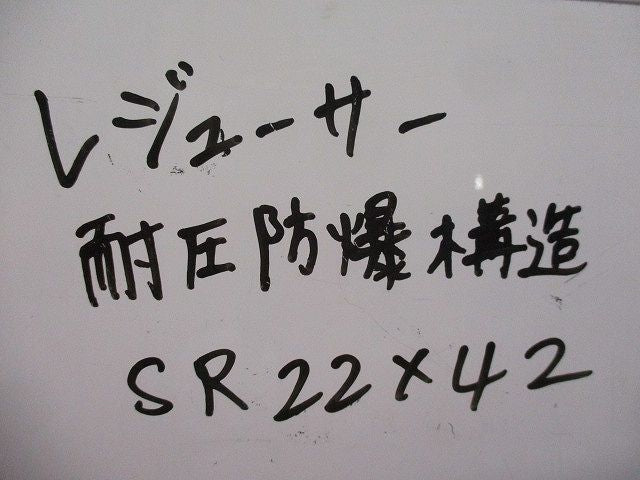 レジューサー 耐圧防爆構造(6個入) SR22×42