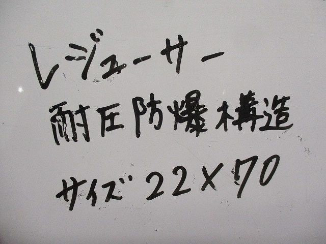 レジューサー 耐圧防爆構造(2個入) 22×70