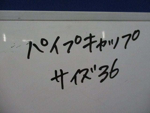 パイプキャップ(3個入) 36