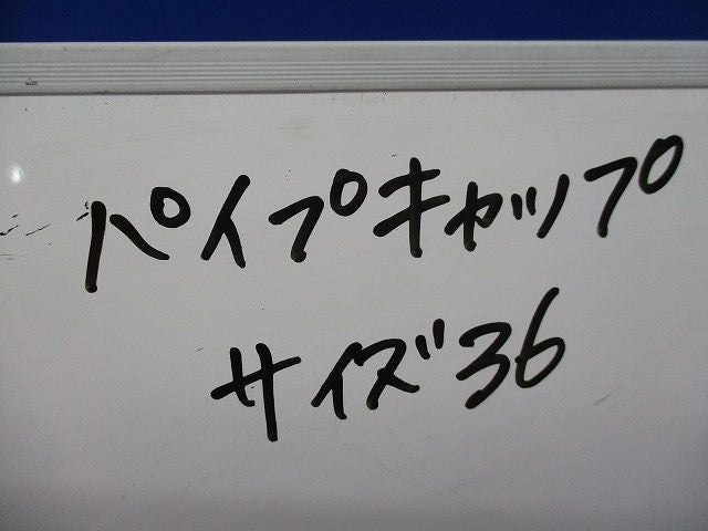 パイプキャップ(5個入) 36