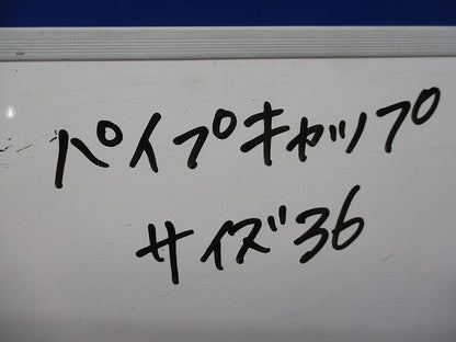パイプキャップ(5個入) 36
