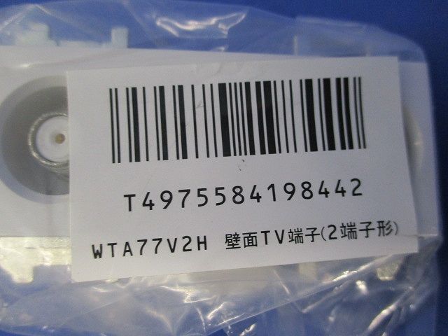 アンテナ 壁面ＴＶ端子 WTA77V2H