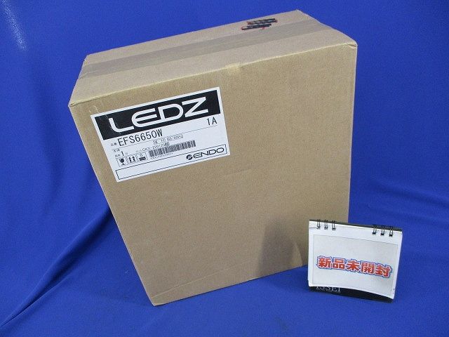 LEDスポットライト EFS6650W