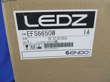 LEDスポットライト EFS6650W