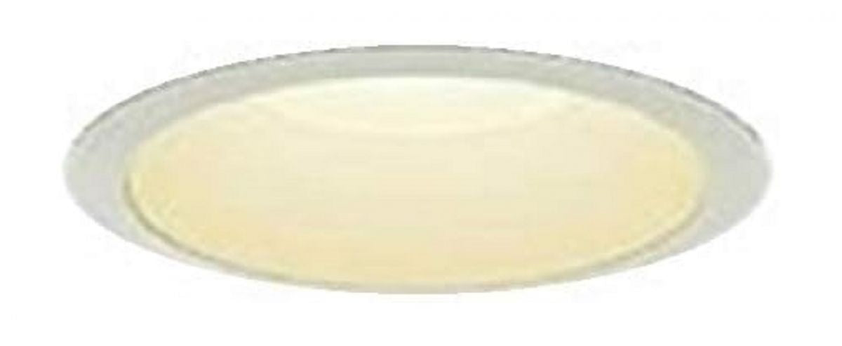 LEDダウンライト LED内蔵 電球色 調光器別売 φ100 防雨形 DDL-5004YWG