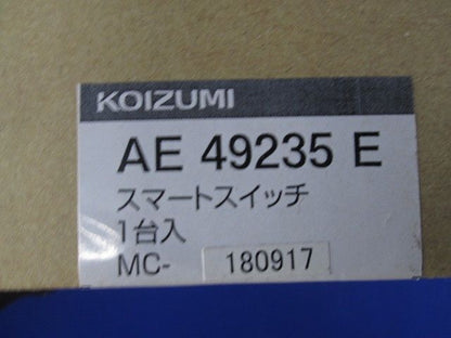 ライトコントローラ スマートスイッチ 4線式 AE49235E