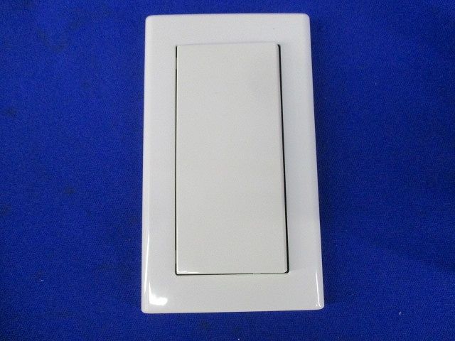 ライトコントローラ スマートスイッチ AE49235E