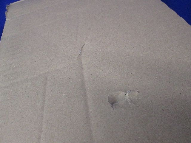 LED非常用照明器具本体 階段灯 20形 ひとセンサ付 30分間タイプ ライトバー別売 NNLF20630J