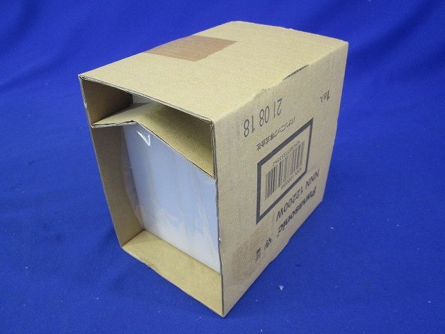 ポーチライト(クールホワイトつや消し)ランプ別売(E17) NNN12200W