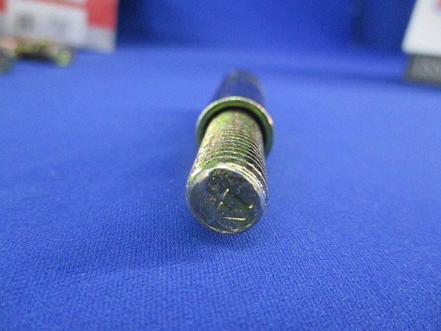 ホーク･アンカーボルト(50本入) B1080