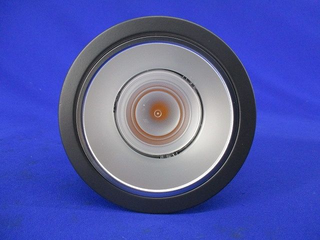 LEDダウンライトφ100(電球色)(塗装有)(箱違い) NDN27313S