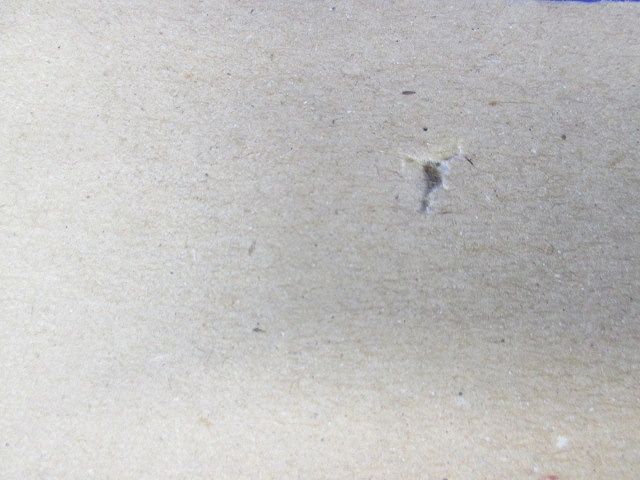 非常用 一体型LEDベースライト 電源内蔵 調光不可 LED昼白色 XWG211NGNJLE9