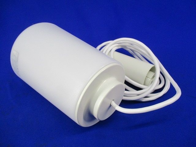 LEDペンダントライト(ランプ付) AP39660L