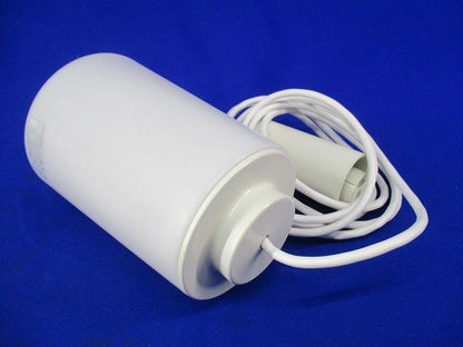 LEDペンダントライト(ランプ付) AP39660L