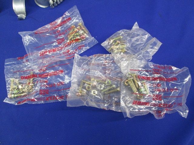 パイラッククリップ(溶融亜鉛めっき)(25個入) C-39