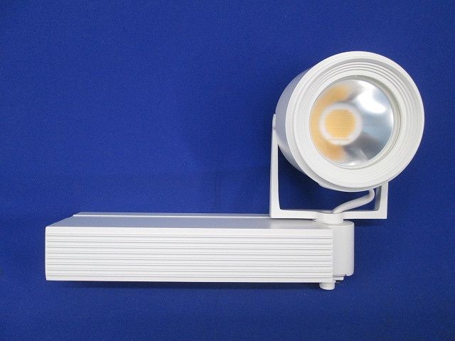 LEDスポットライト(ホワイト) NNN04555WKLE1