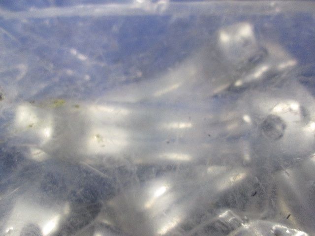 管支持クリップ　ステンレス製　20個入 S-51C-20