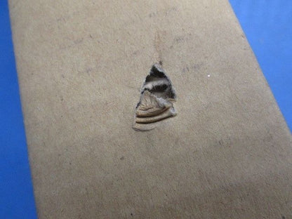 キッチンライト 32形Hf蛍光灯(電球色) ホワイト仕上 HFA1714WE