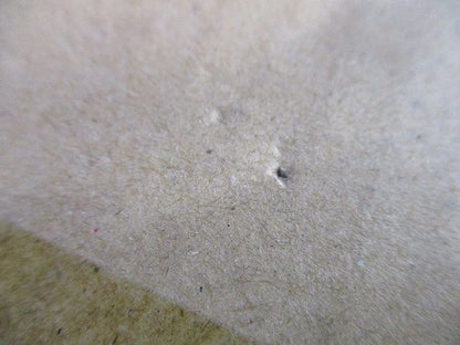 LEDダウンライト(電球色) NTS55323