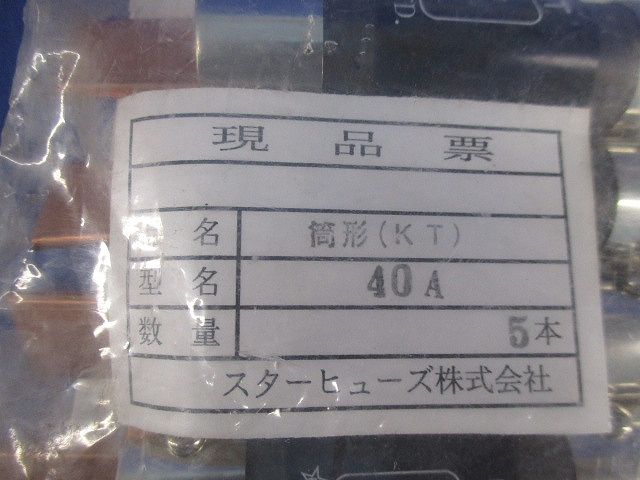ヒューズ(5個入) 40A